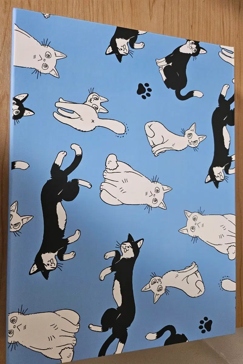 해변의 에트랑제 텀블벅dvd 세트 팝니다