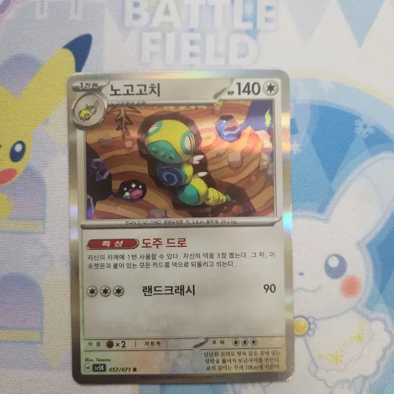 포켓몬카드 덱소스 노고고치