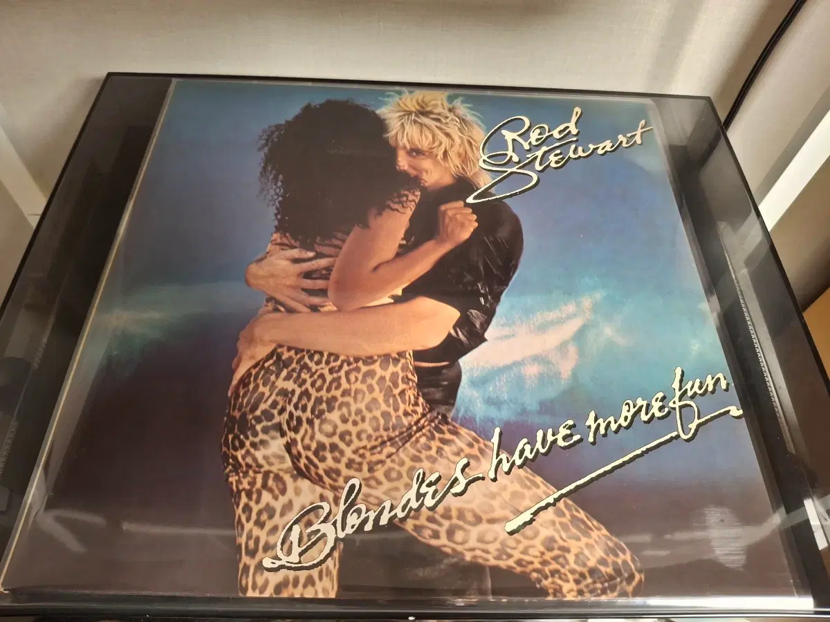 <수입 LP> 로드 스튜어트 Rod Stewart 엘피