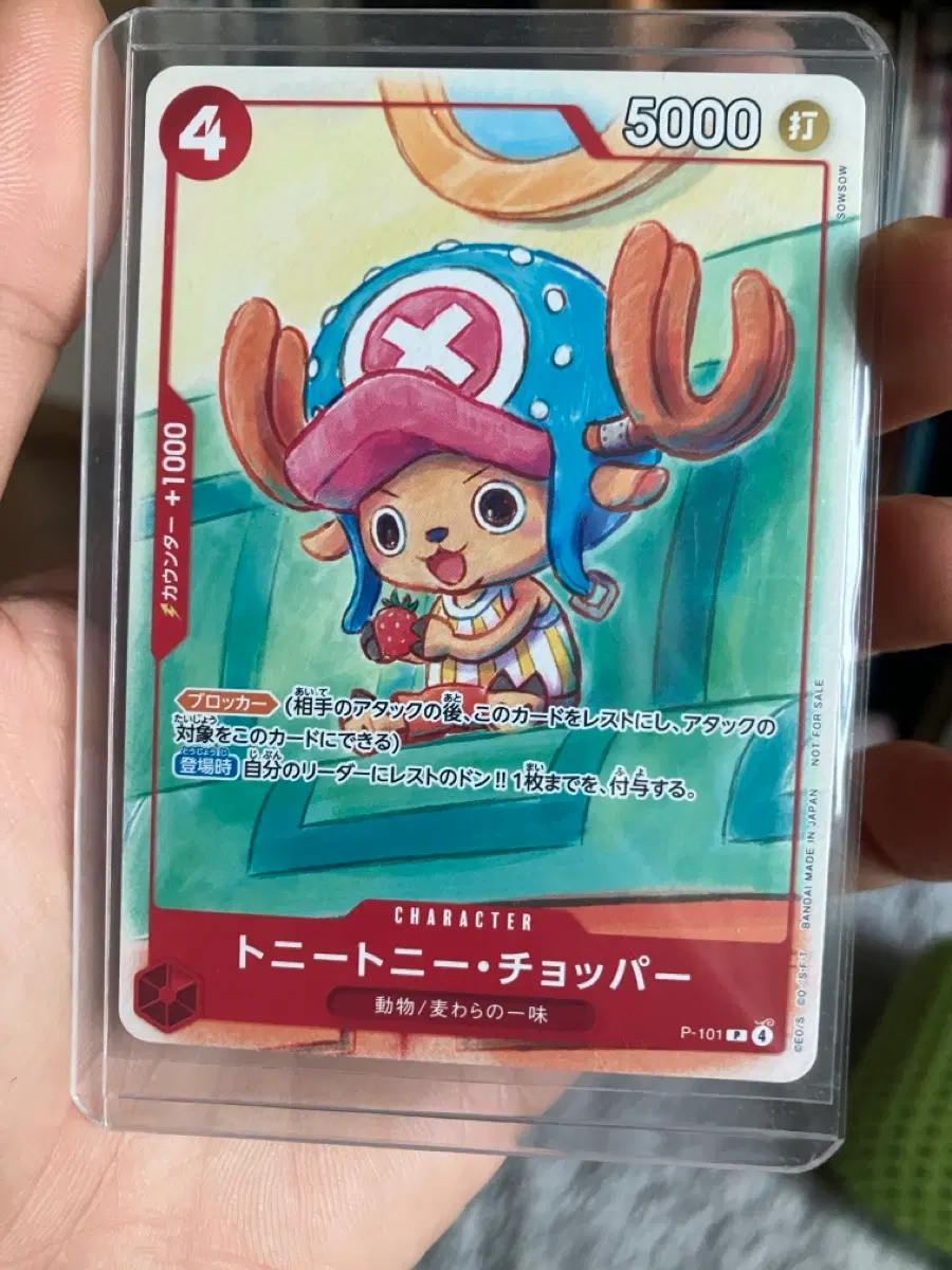 원피스카드 TCG 토니토니 쵸파 P P-101 프로모션 카드 프로모션 카드 세트 2025 (일어판)