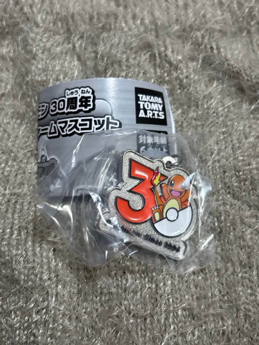 파이리/포켓몬스터 30주년 메탈 메지루시 가챠