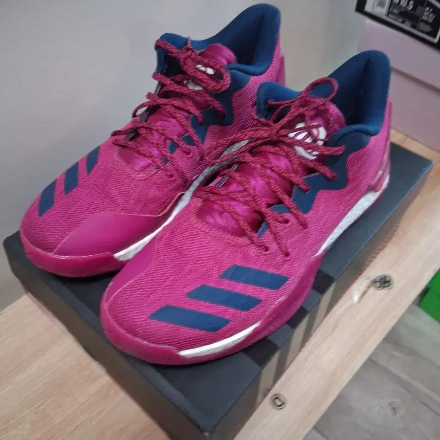 265 아디다스 디로즈 d rose 7 팝니다