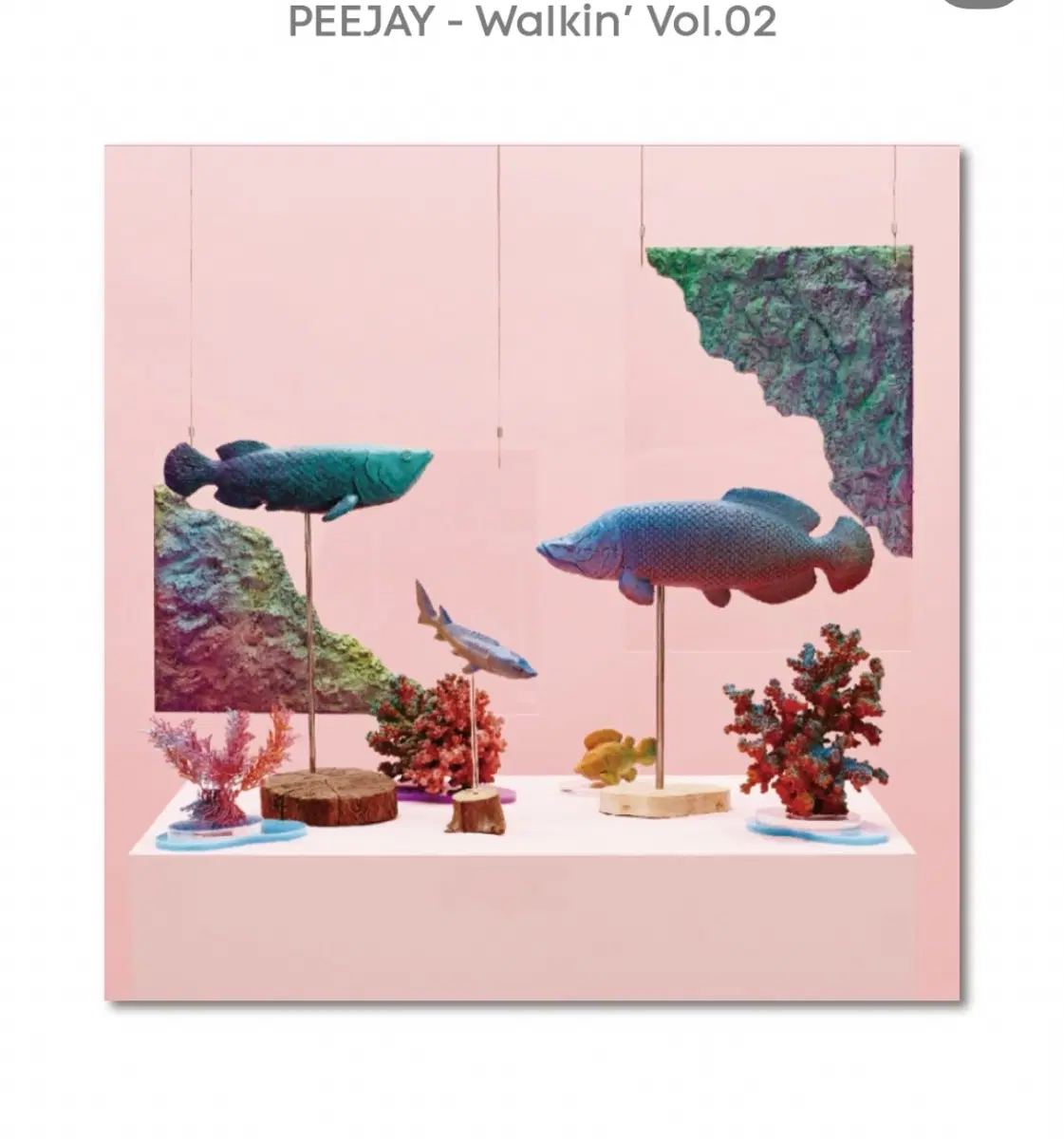 peejay 피제이 lp 바이닐 미개봉 2집