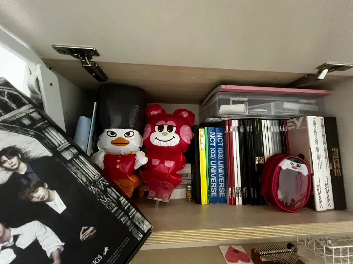 라이즈 굿즈 처분