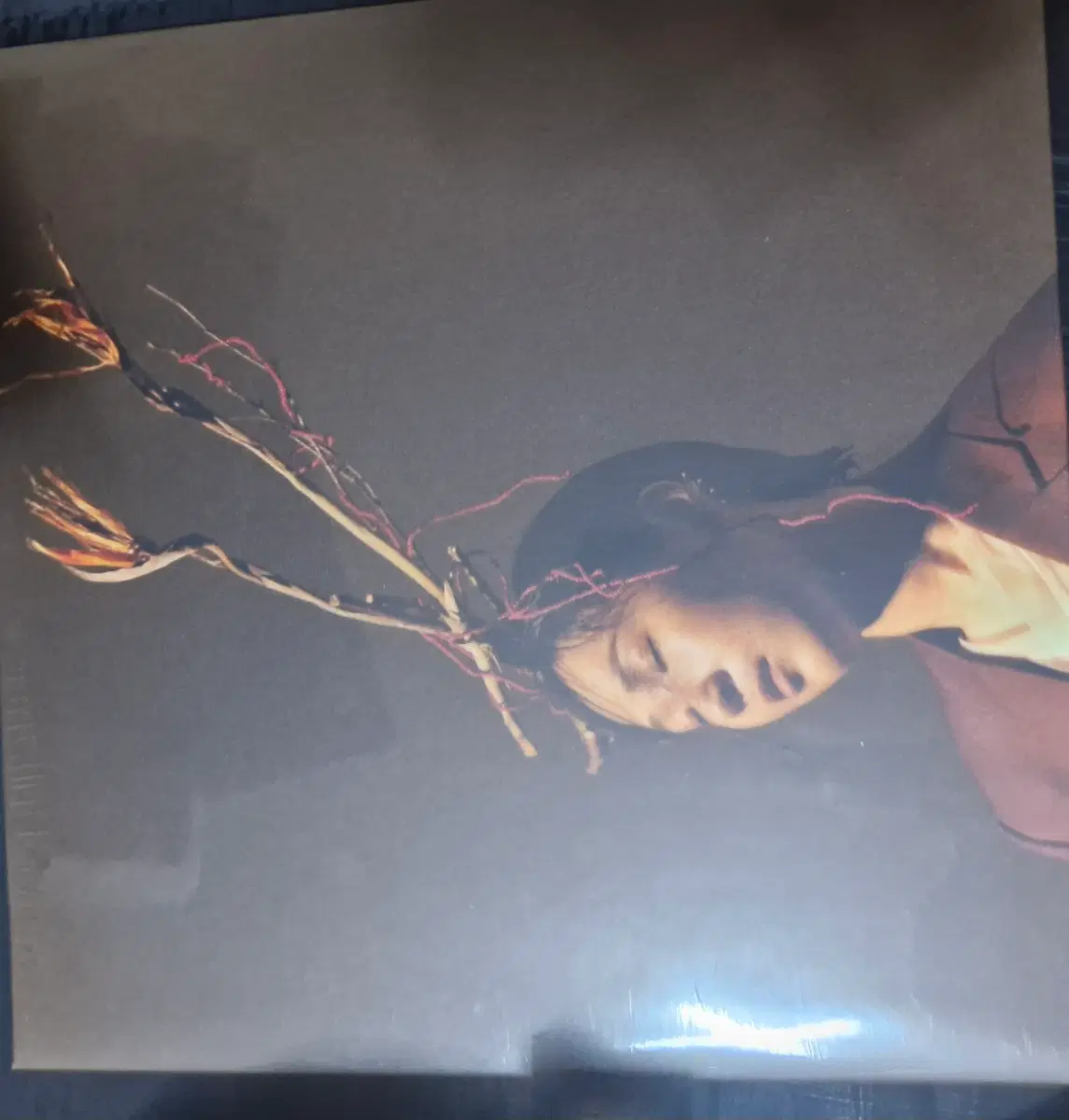 추다혜차지스 정규1집 오늘밤 당산나무 아래 LP 레드