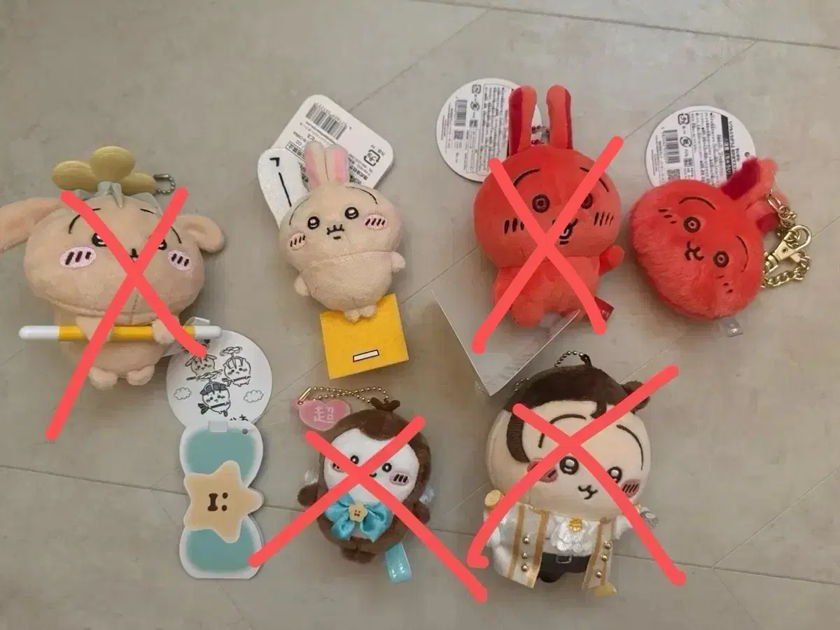 먼작귀 우사기 풍뎅이 판매