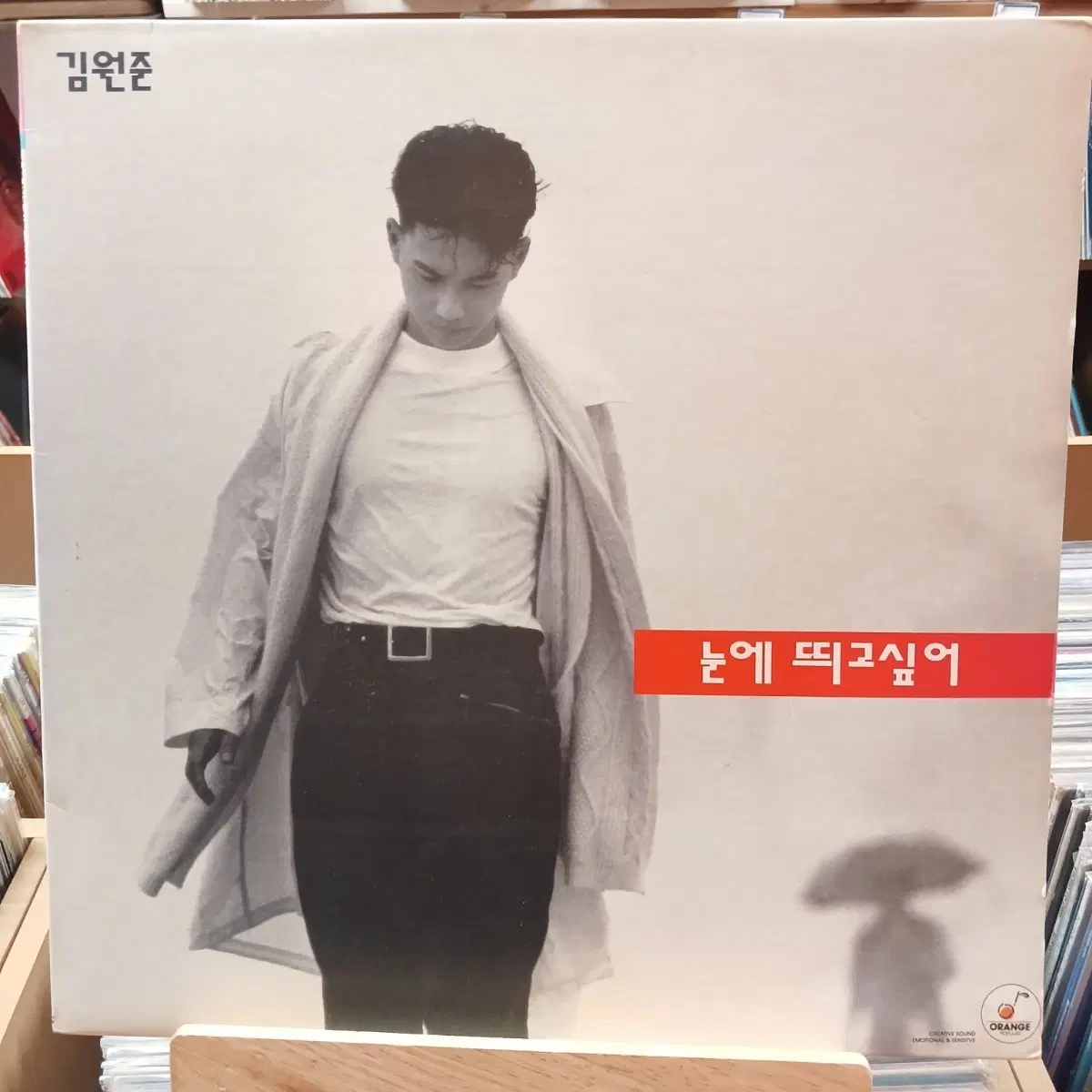 가요 초반 김원준 눈에 띄고 싶어 LP 할인