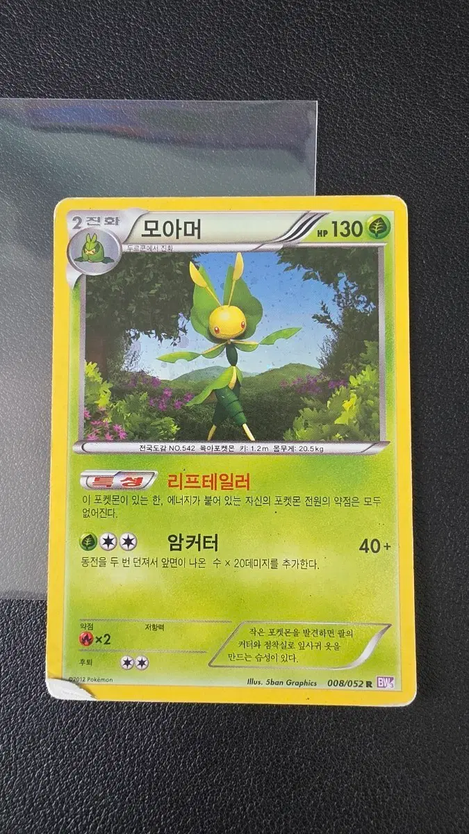 포켓몬 카드 모아머 r bw3 008/052