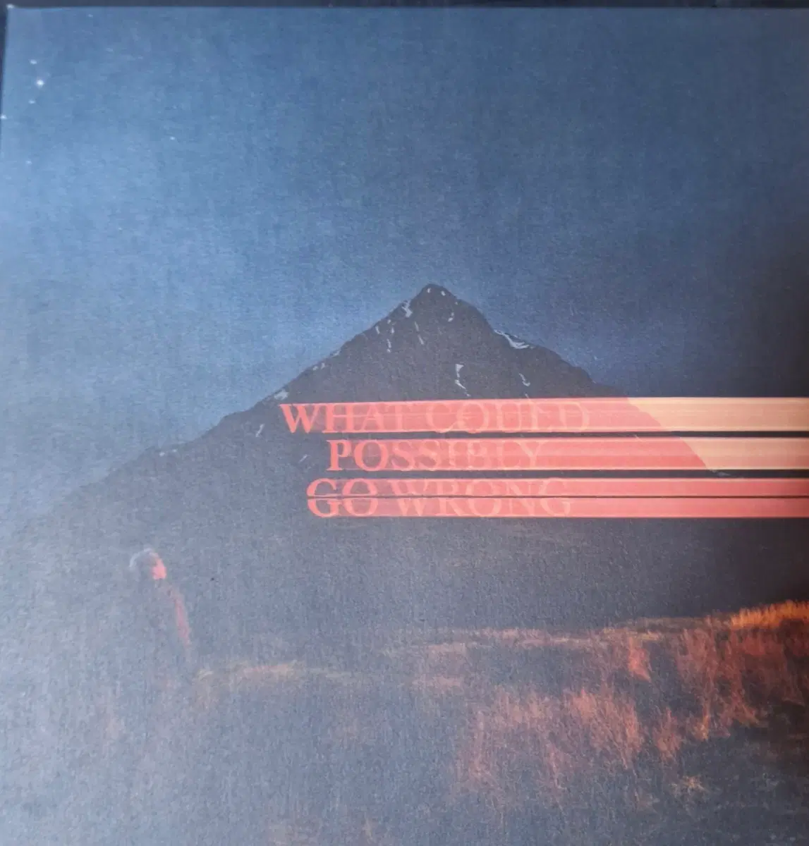 Dominic Fike - What Could Possibly Go Wrong LP 도미닉 파이크 LP