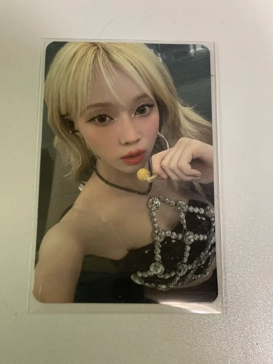 윈터 포카