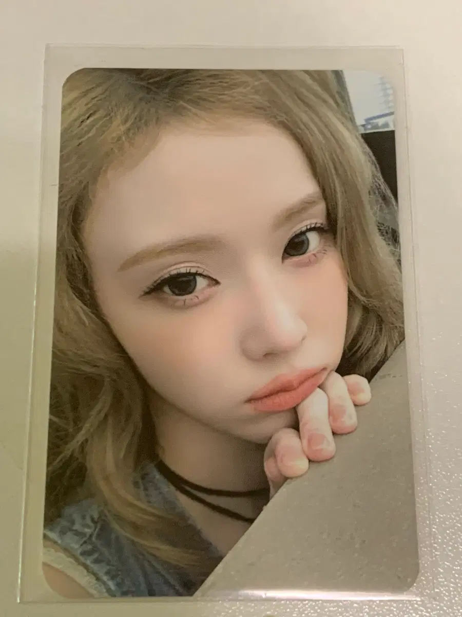 윈터 포카