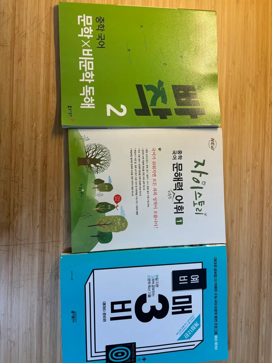 국어 독해 문제집 3권 세트 (국어 문학 비문학 독해, 자이스토리 중학 국어 문해력 어휘