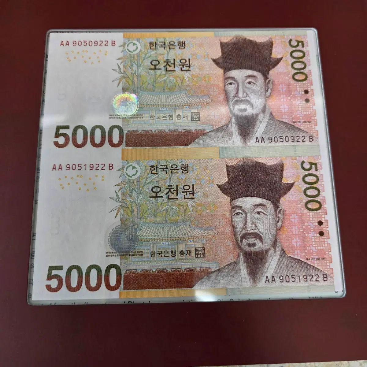 오천원권 2면부 연결권은행권 2면연결오천원 한국은행권 5천원 돈명태 기념지폐기념주화 추석선물 집들이수능승진개업선물