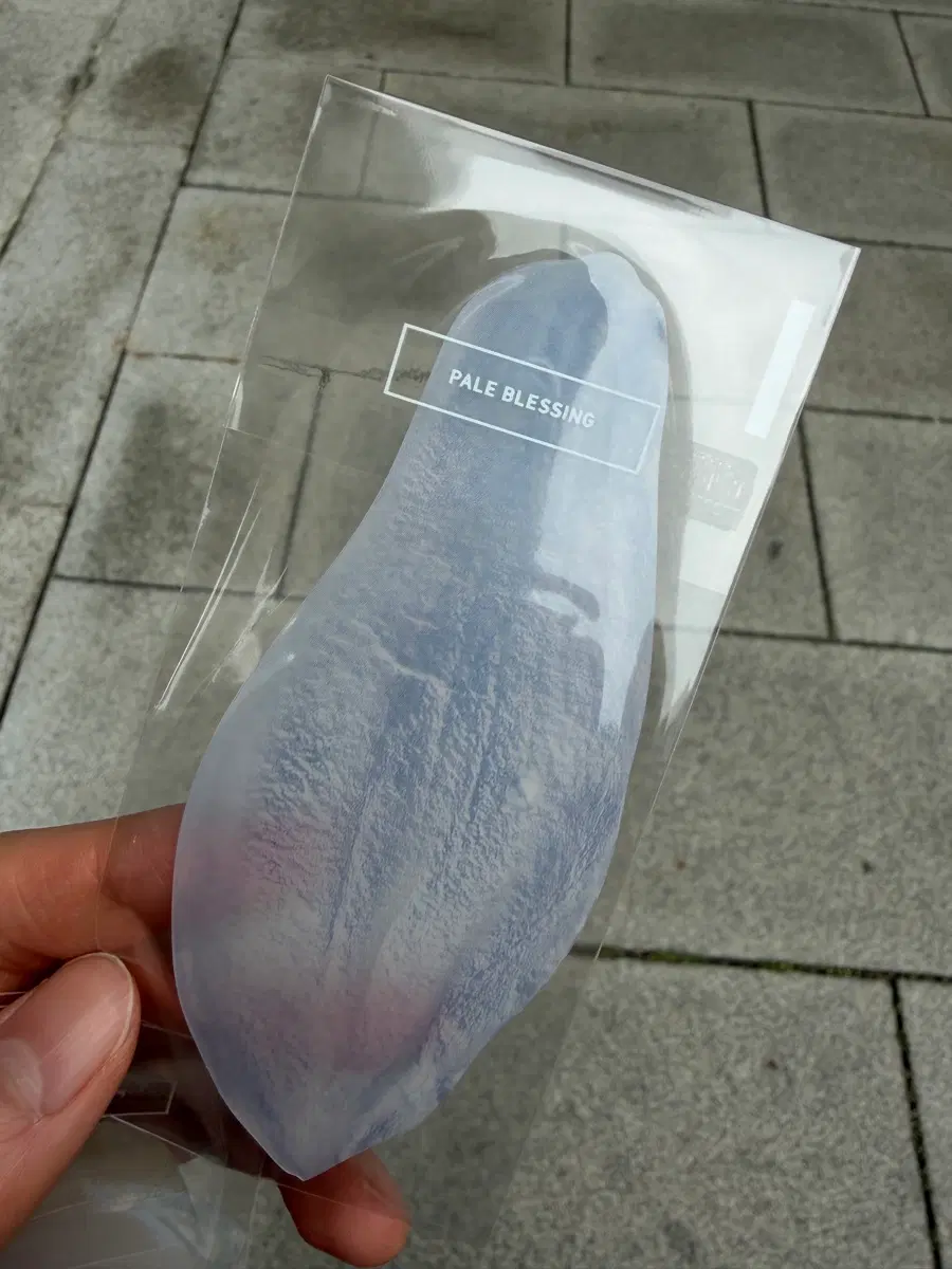 이옥토 책갈피 목련
