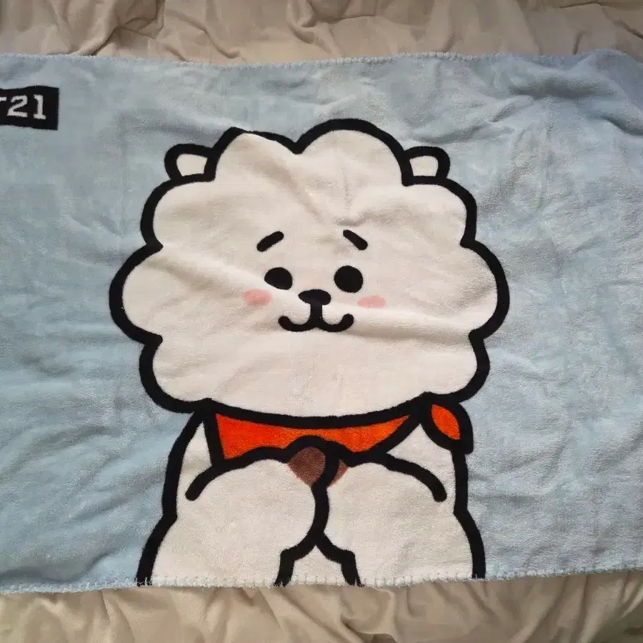 방탄 BT21 RJ 담요