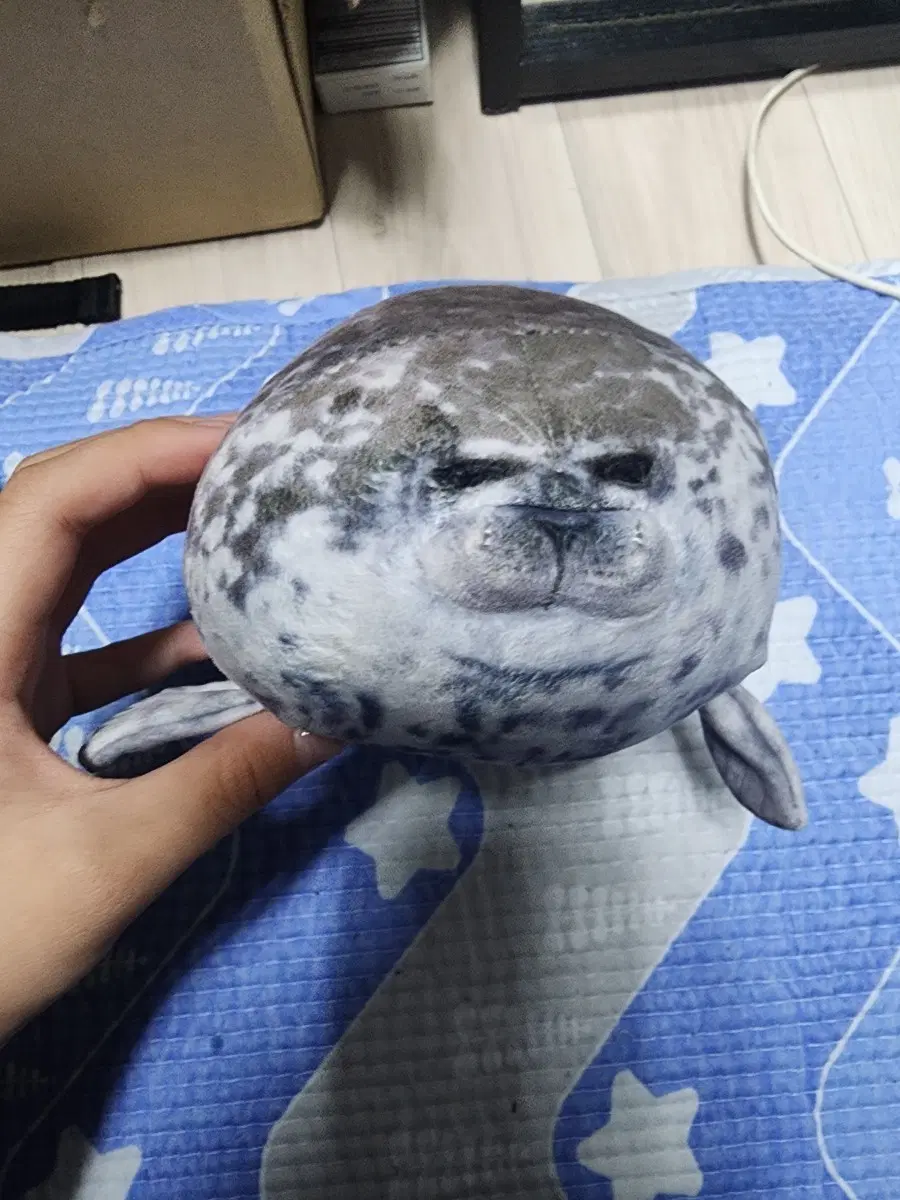 바다표범 인형
