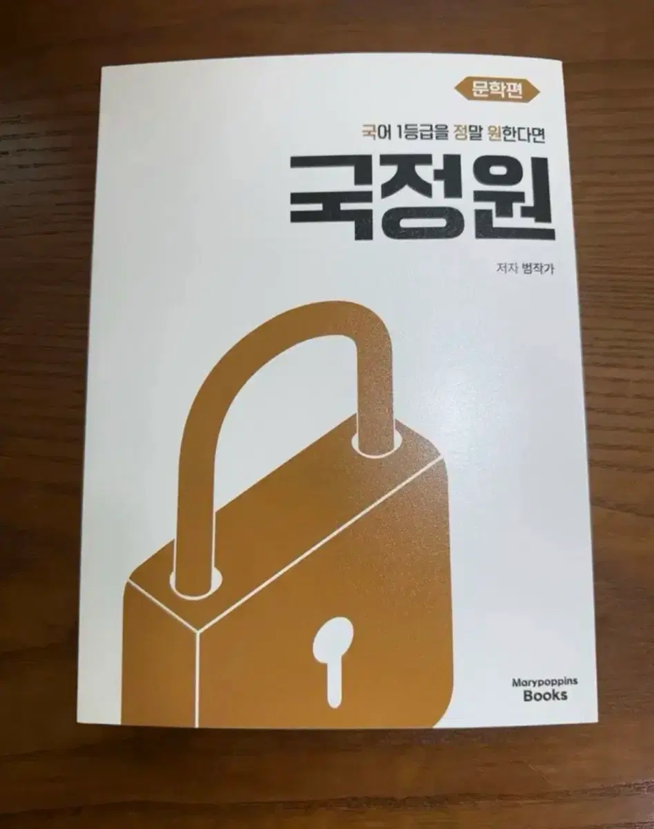 국정원 문학