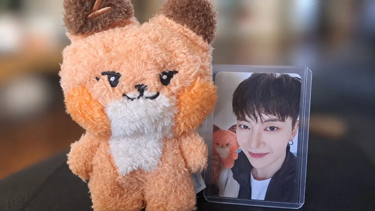 1기 튜니니(더이상가격내림X)
