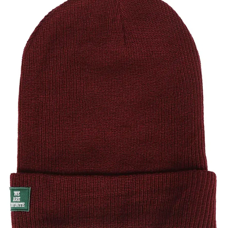 undercover we are infinite Beanie