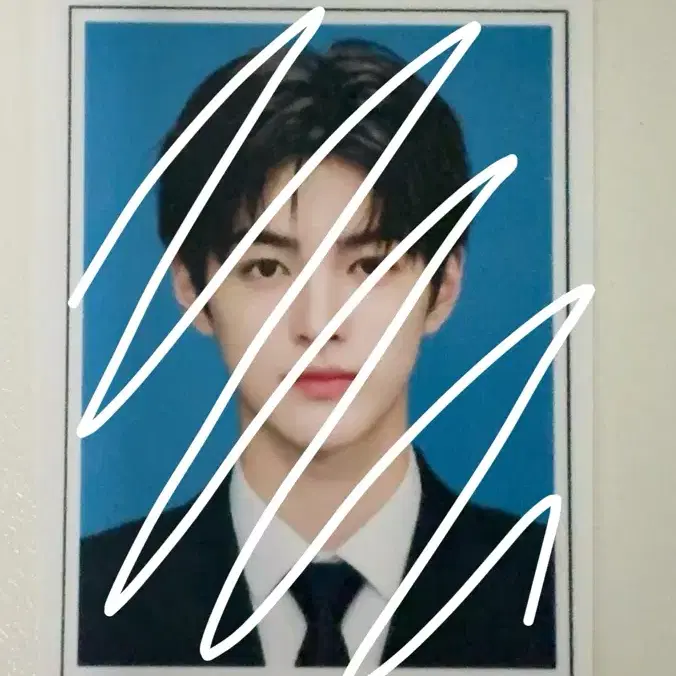 코르티스 안건호 엄성현 김주훈 증사 판매