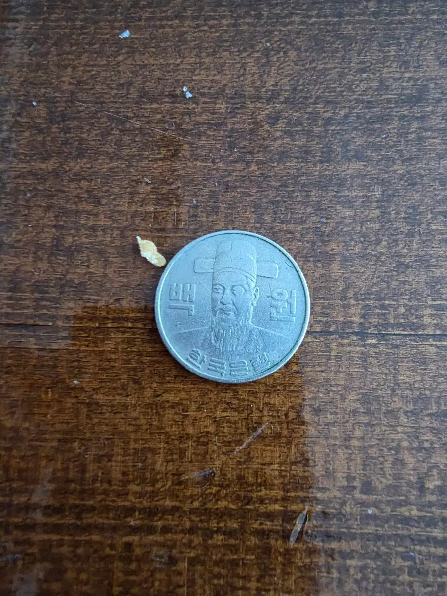 100원 동전