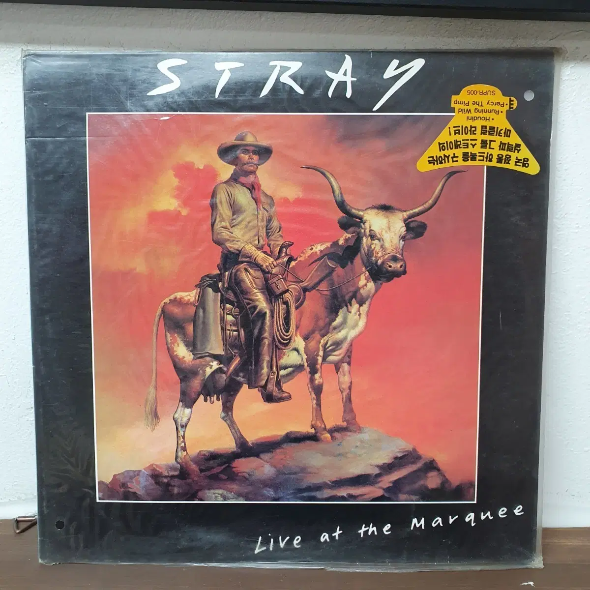 스트레이 마키클럽 라이브 LP 1984 서울음반