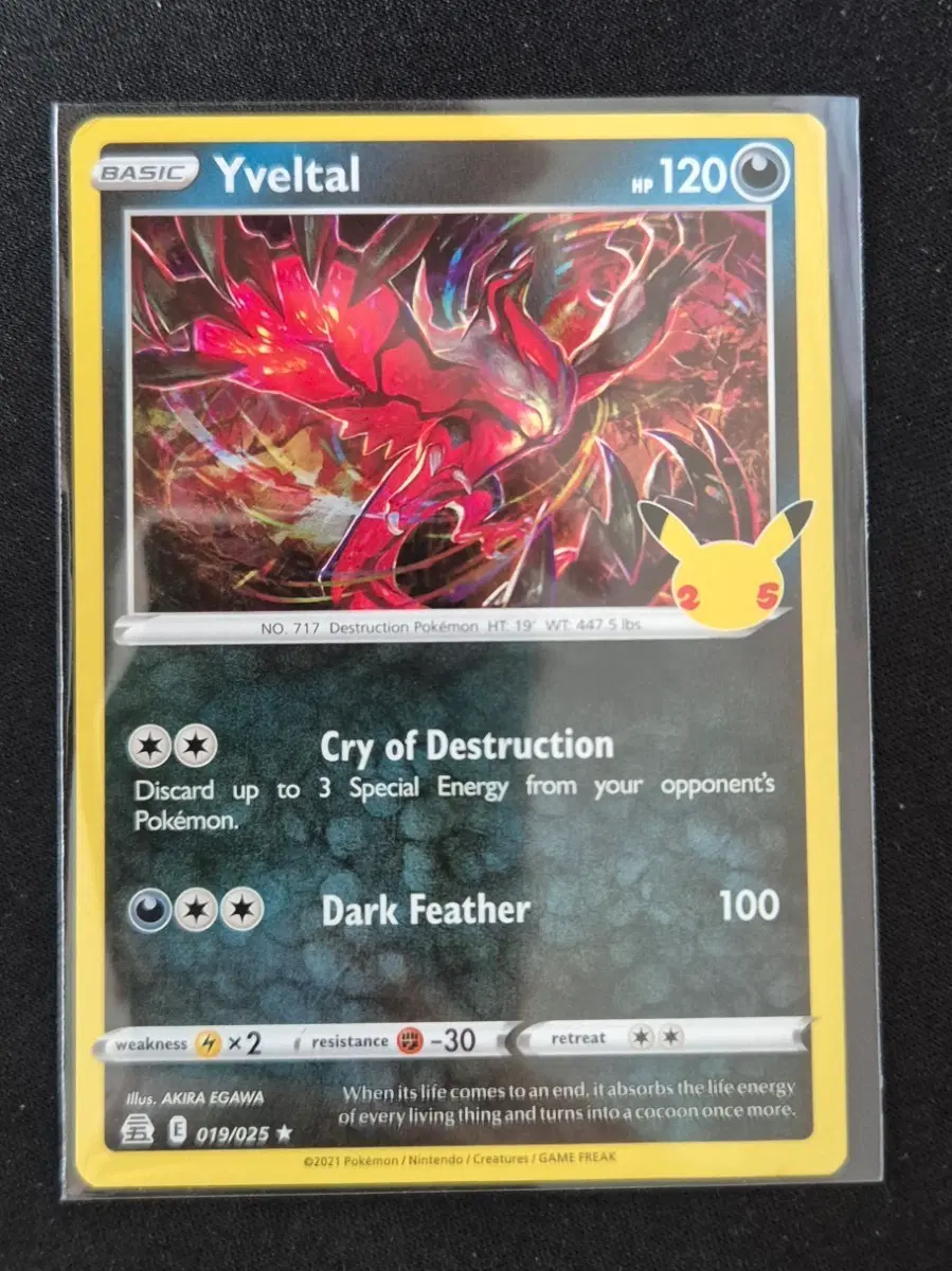 영문판 포켓몬 TCG 25주년 기념 이벨타르 019/025