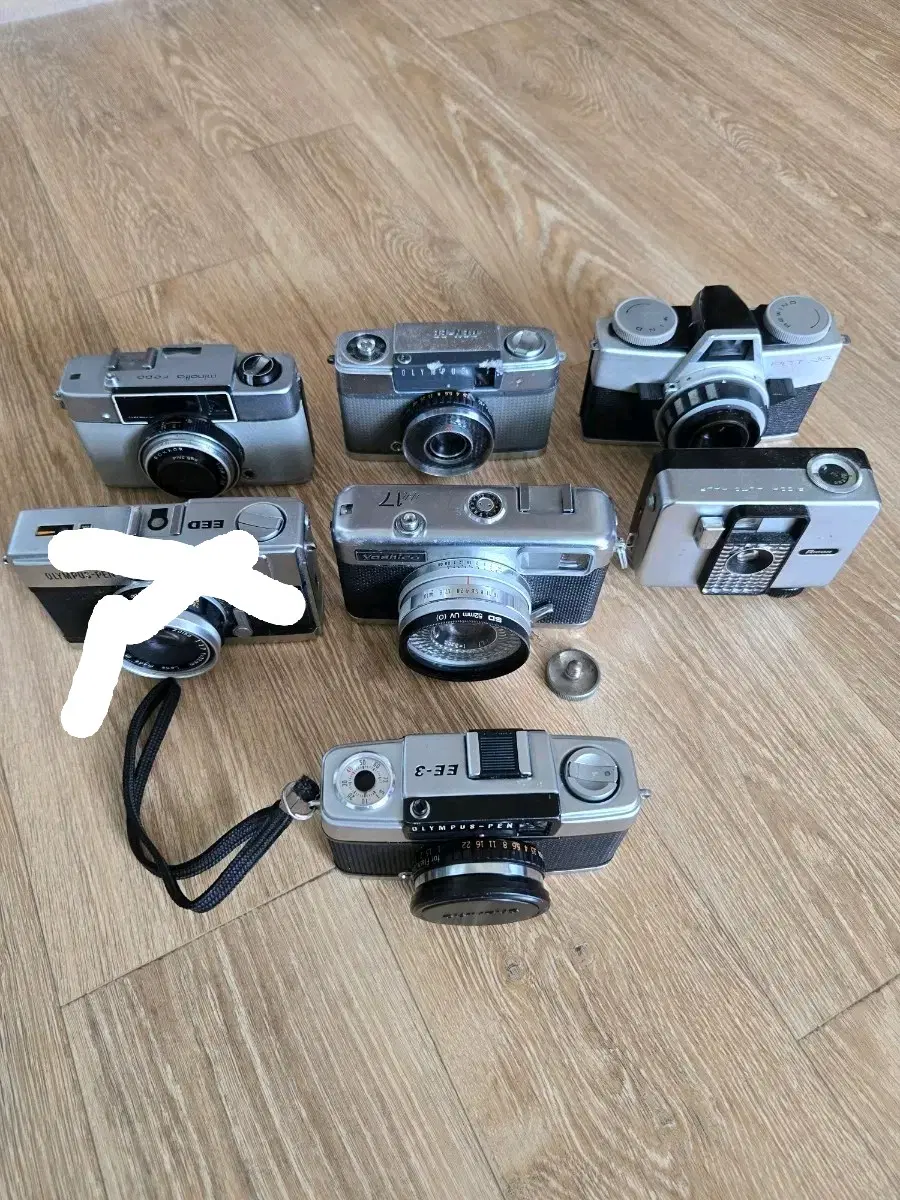 하프카메라 모음