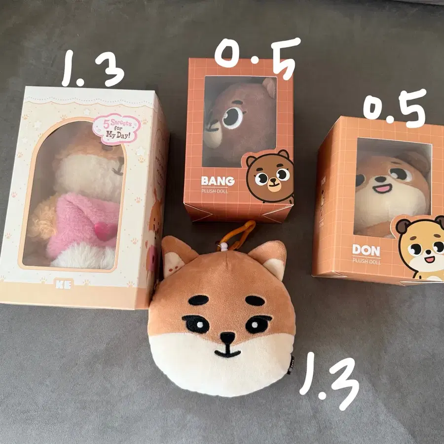 데이식스 굿즈