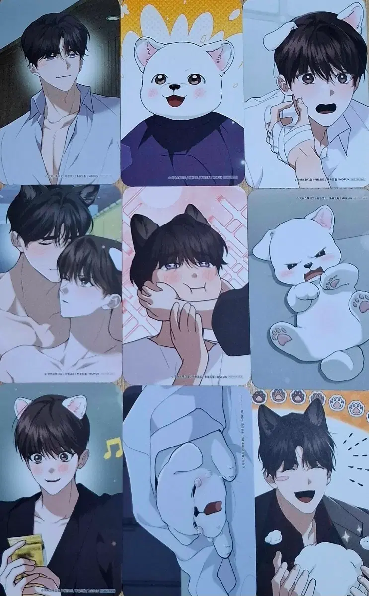 모펀 강아지는 건드리지마라 강건마 방문포카 방포 포토카드 판매양도