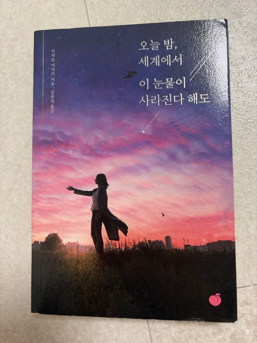 오늘 밤, 세계에서 이 눈물이 사라진다 해도 소설책