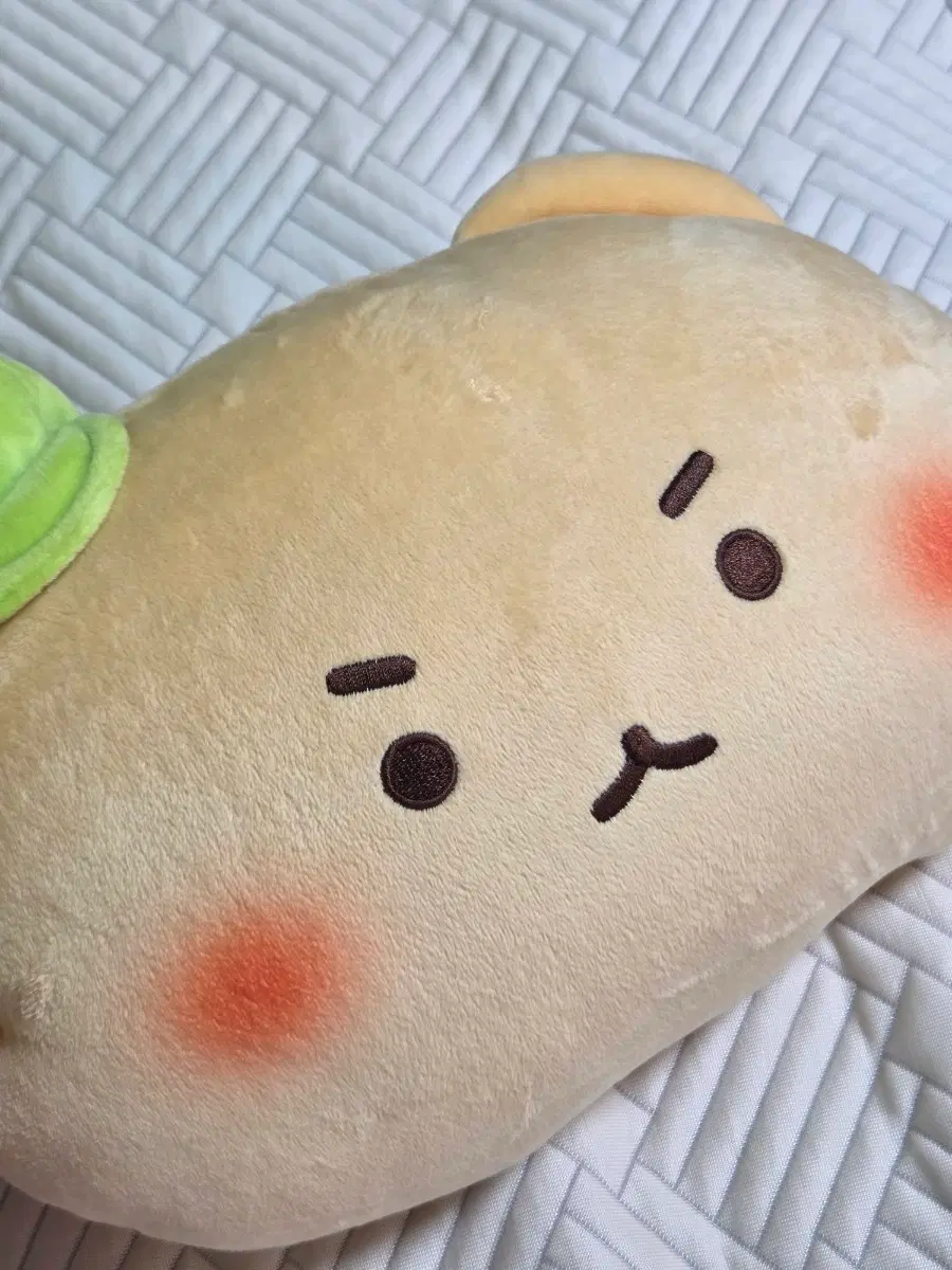 올리브영 망곰이 담요 쿠션
