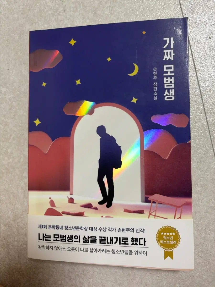 가짜 모범생 소설책