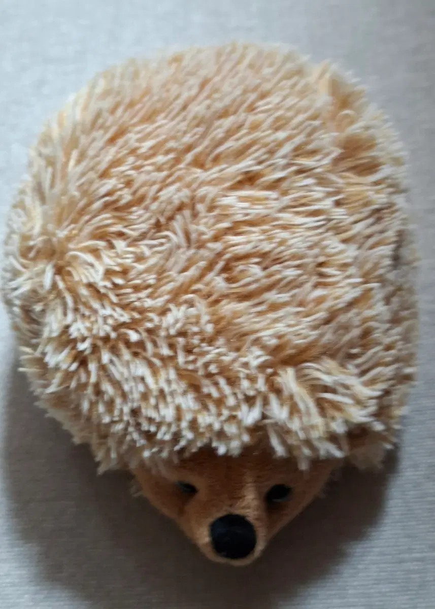 5 포근한 고슴도치 인형