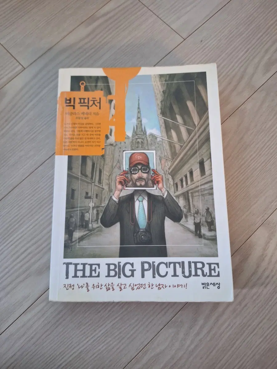 빅 픽처 (도서)