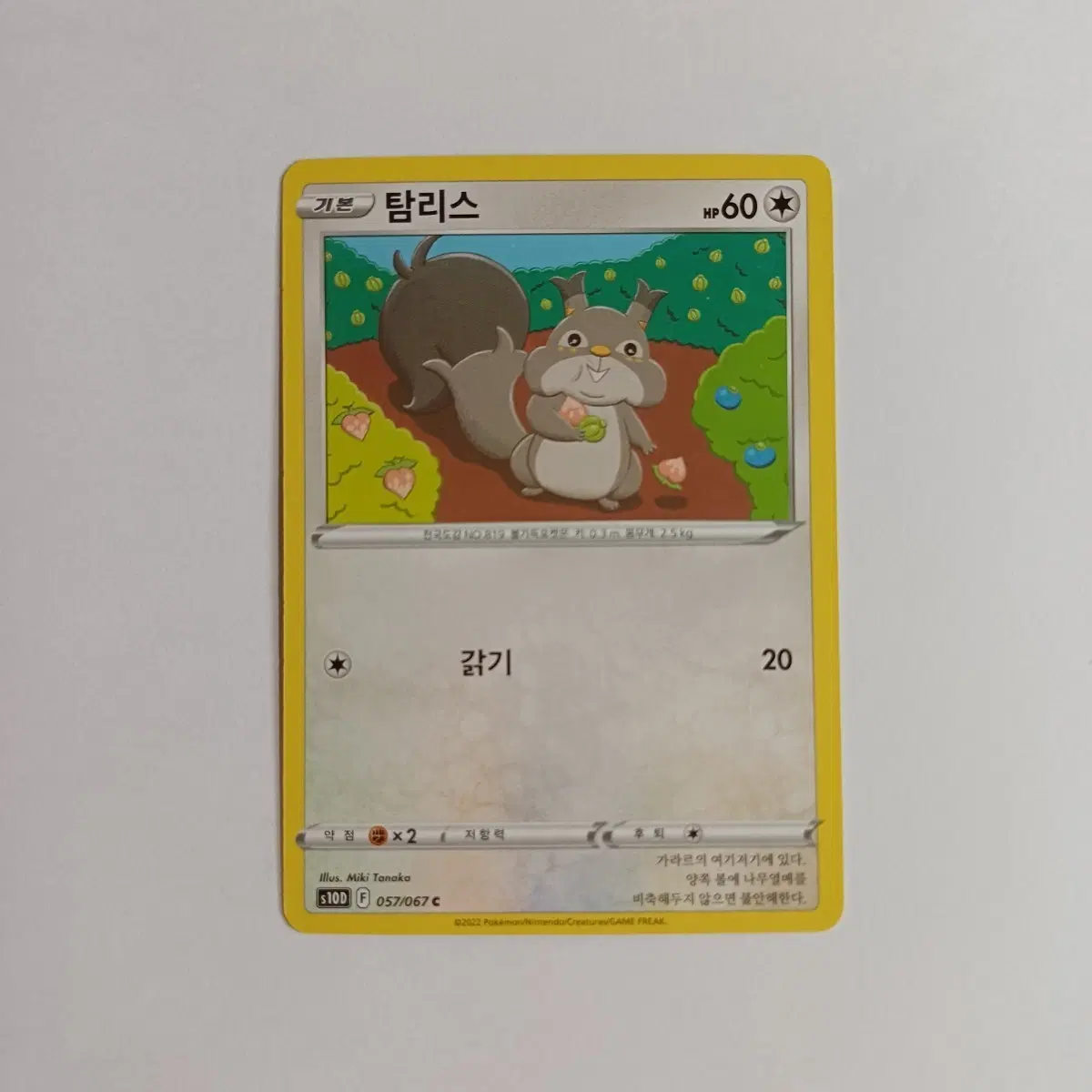 포켓몬카드 일반카드 도감용 덱소스 s10d 타임게이저 탐리스