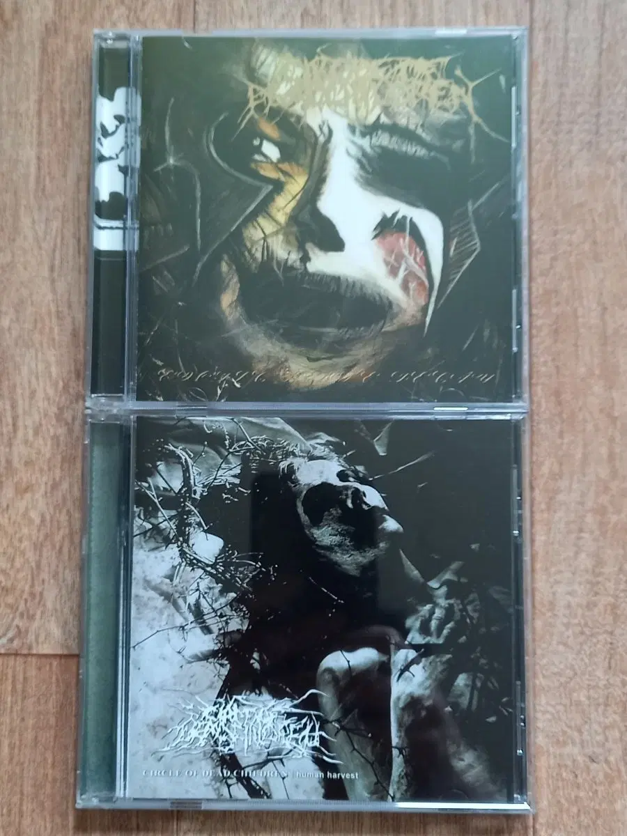 circle of dead children cd 수입반