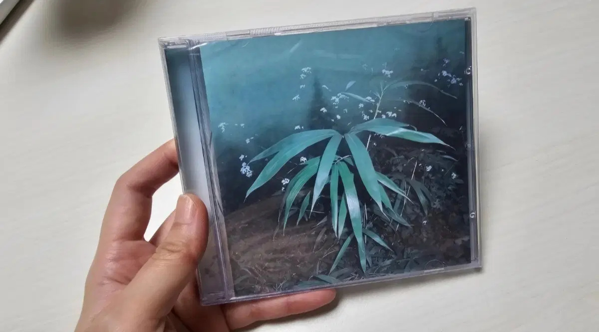 신해경 정규 1집 속꿈, 속꿈 미개봉 CD