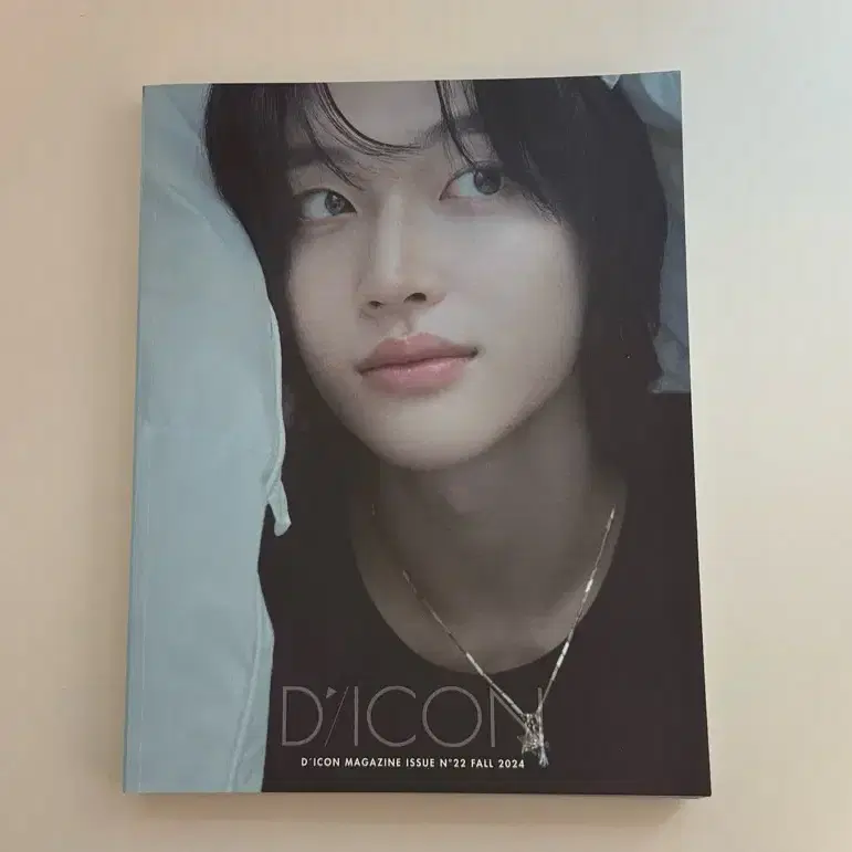 원빈 디아이콘 A