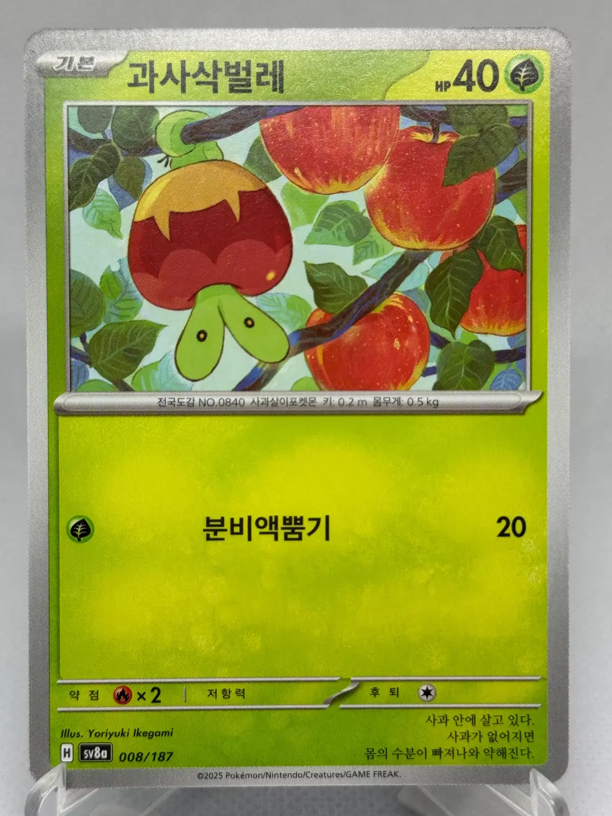 포켓몬카드 과사삭벌레 [SV8a 008/187] 한글판 일반카드