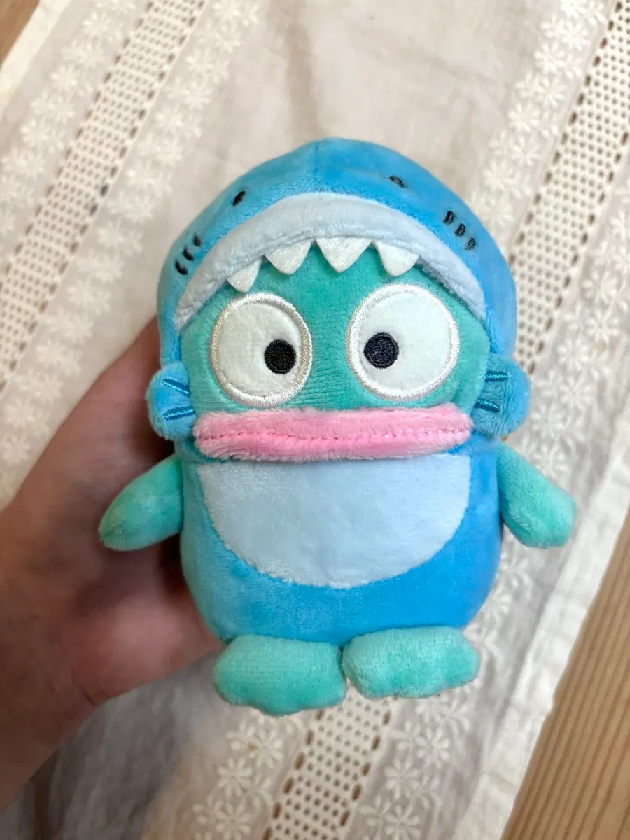 한교동 아쿠아리움 상어 마스코트