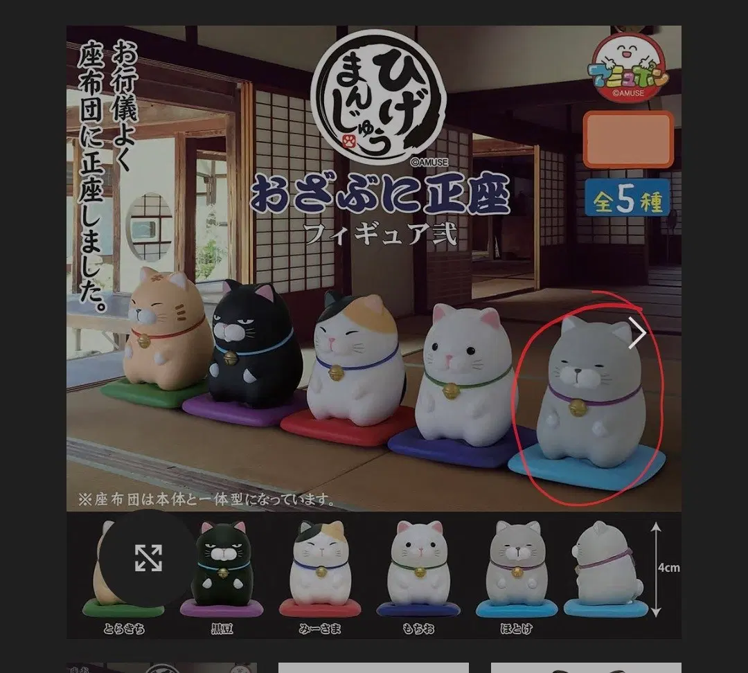 amuse 어뮤즈 히게만쥬 아뮤펀 고양이 피규어 가챠