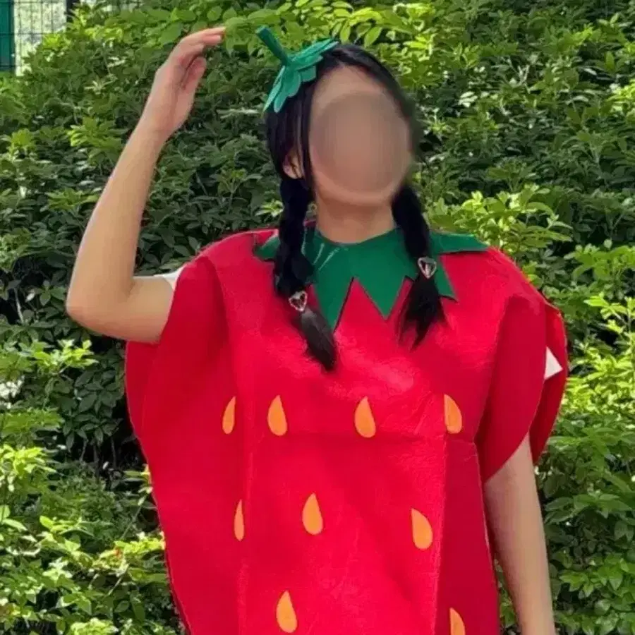 딸기 코스튬 졸업사진 대여 (+딸기 꼭지)