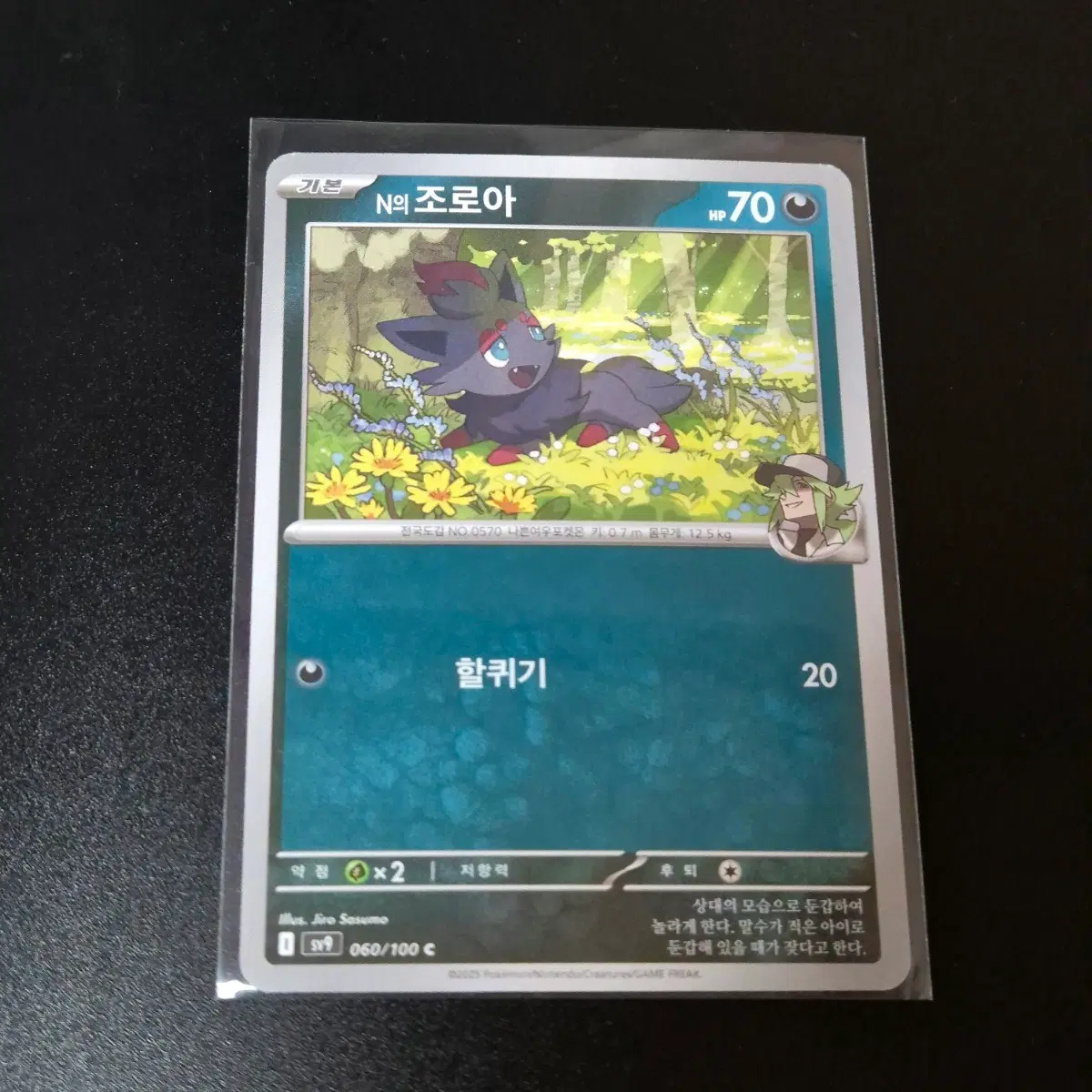 포켓몬 N의 조로아 기본 카드
