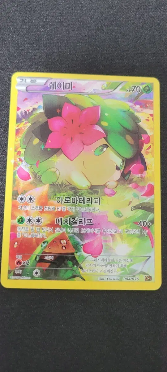 쉐이미 환상전설 풀일러스트 cp5 포켓몬카드