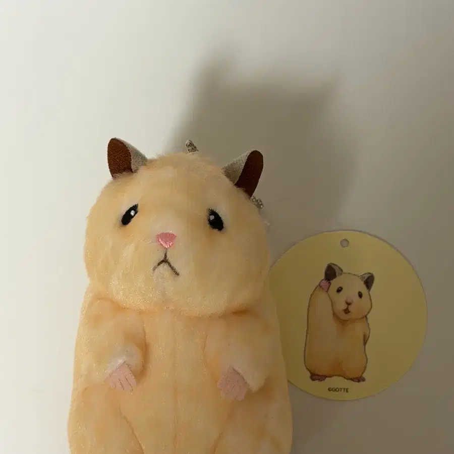 제베원 성한빈 스케로쿠 뚱중햄 인형