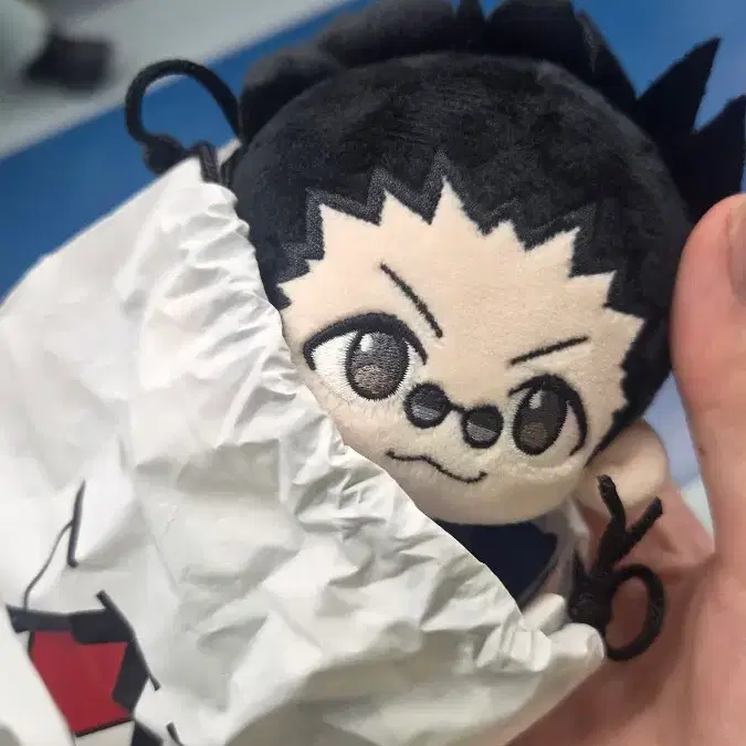 레오리오 누이