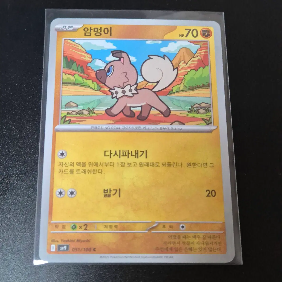 포켓몬 카드 암멍이 기본 카드