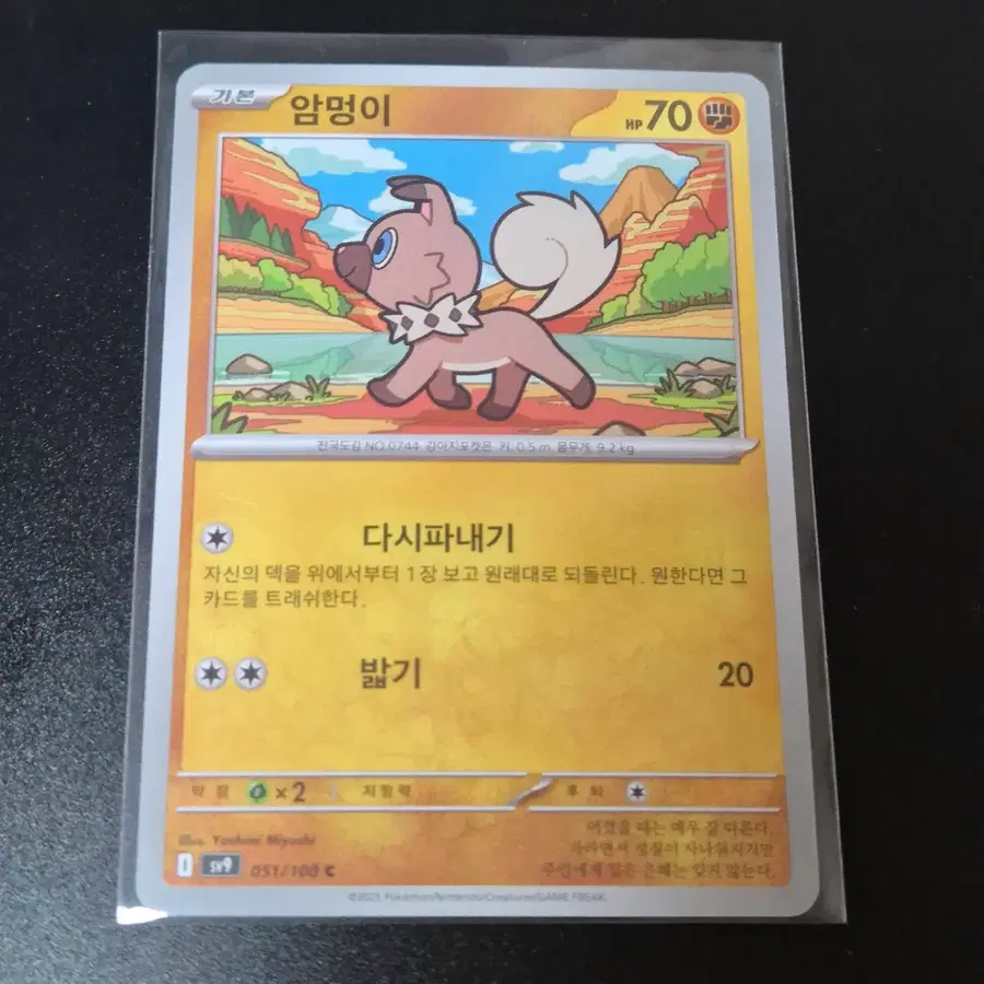 포켓몬 카드 암멍이 기본 카드