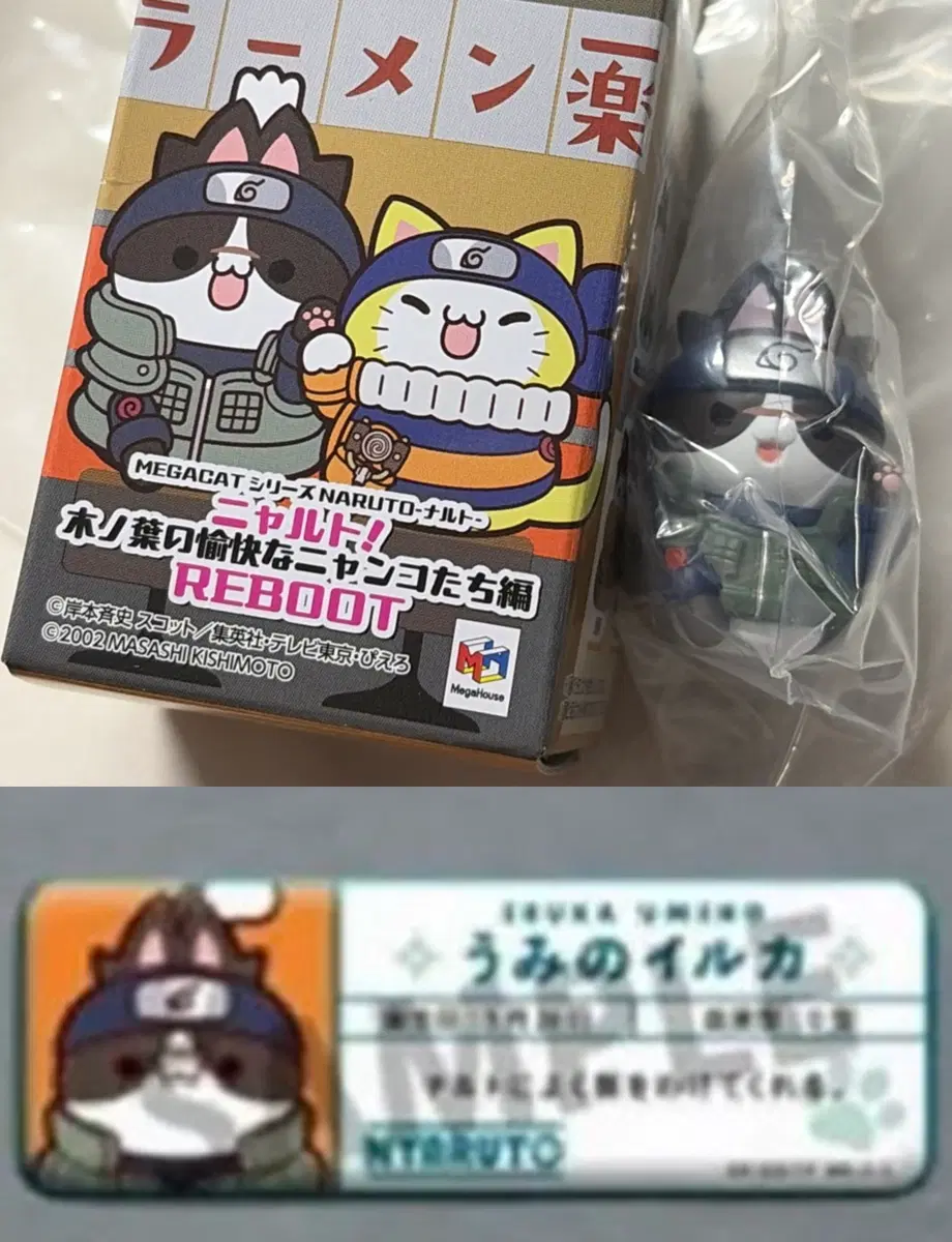 나루토 메가하우스 이루카 메가캣+명찰 캔뱃지